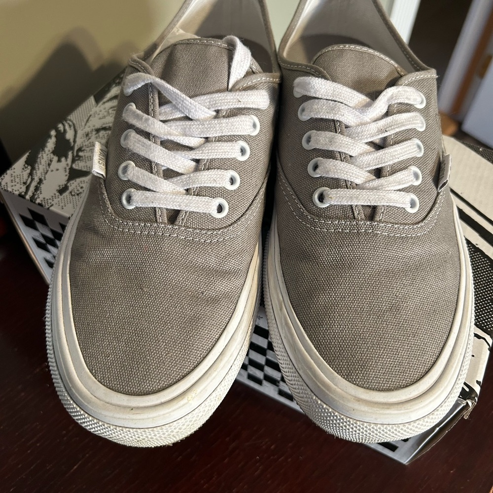 Vans Skate Authentic Gray Sneakers